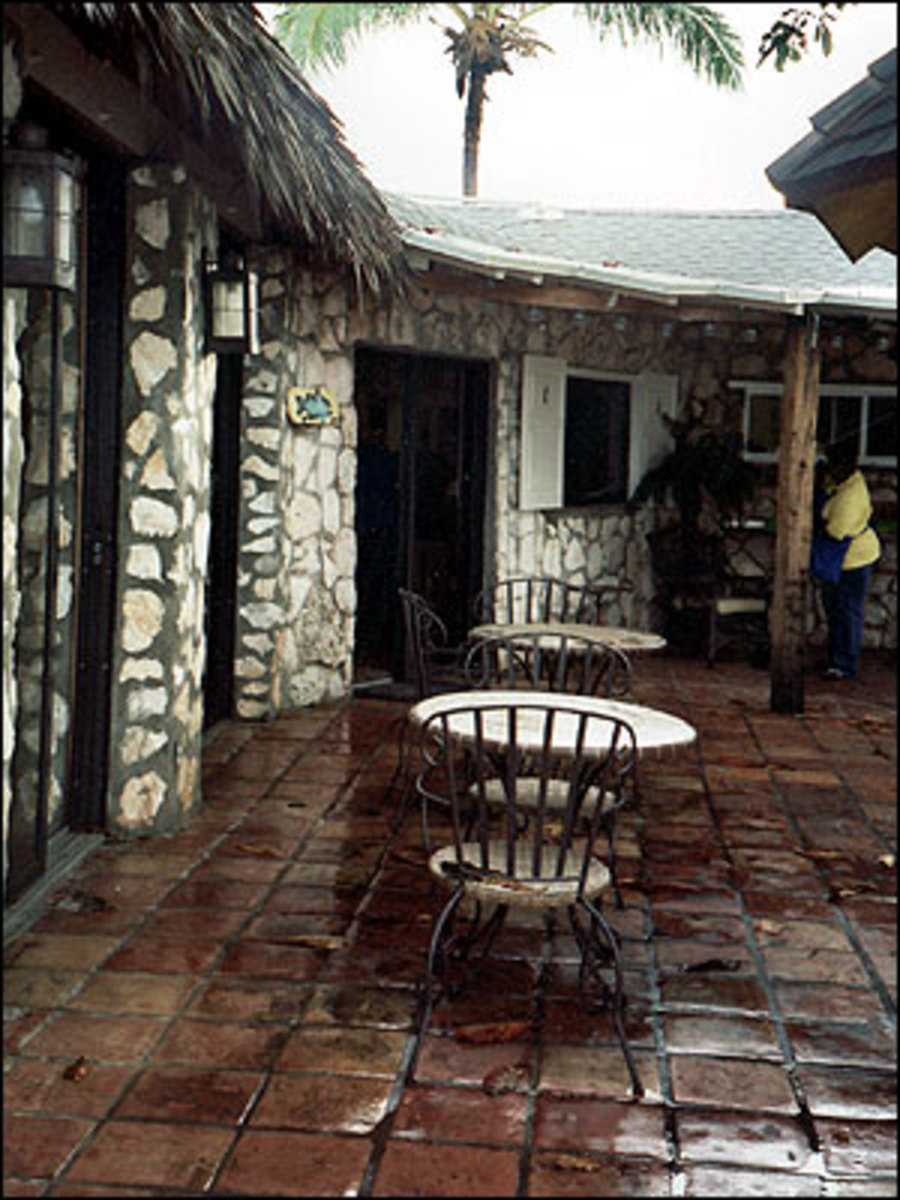 06_cat_09.jpg
